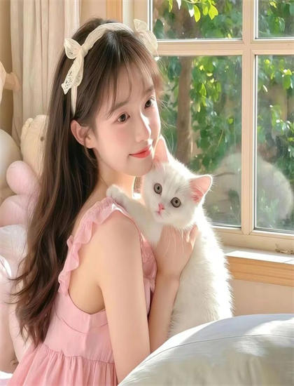 灌篮青春评价怎么样？专业评分与观众口碑对比，双语字幕